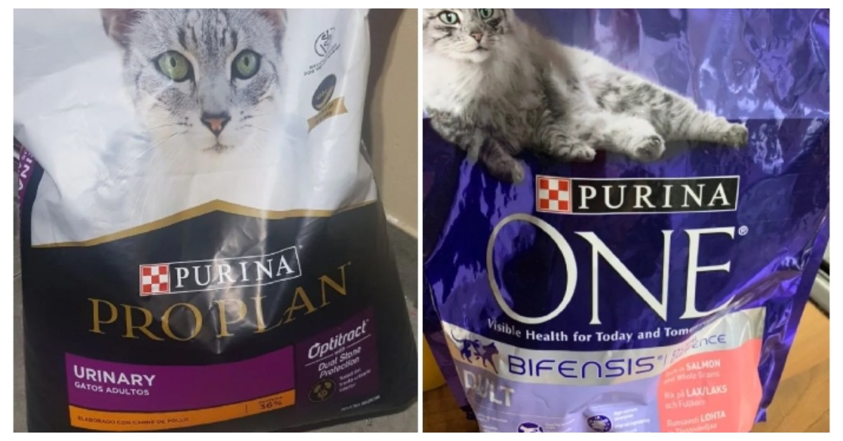 The Best and Worst Cat Food Brands Ranked